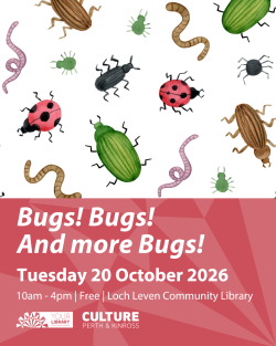 Bugs Bugs And more Bugs Loch Leven Instagram 45