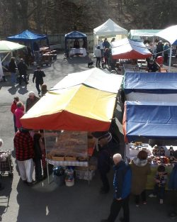 Market stalls with customers outside with trees in the background