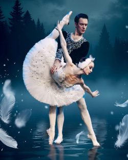 Swan Lake 45