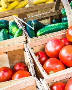 Seasonal dishes with the seed library 3000 1