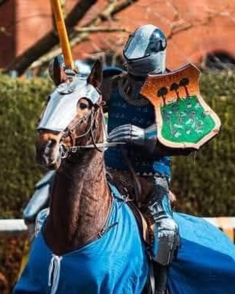 A man wearing full armor on an armoured horse.