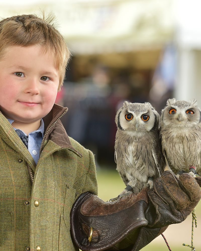 GWCT Game Fair