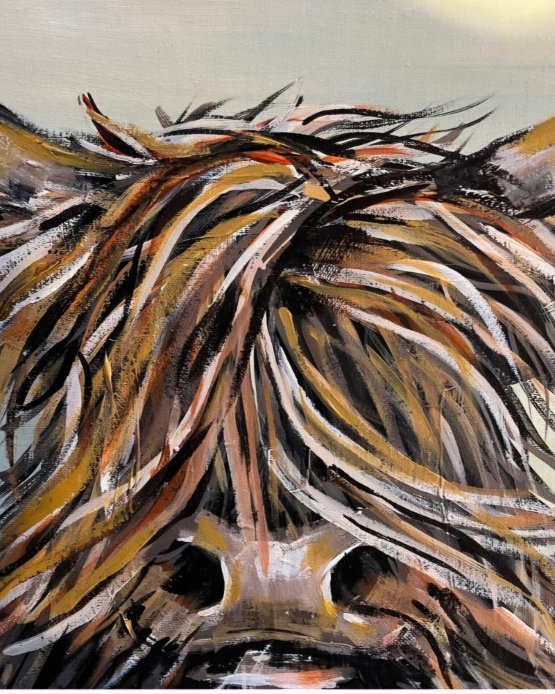 A canvas with a painted hairy highland cow.