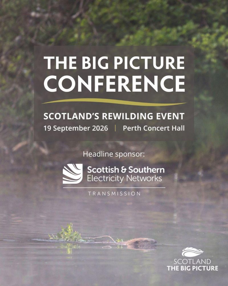 The Big Picture Conference 1080 x 1350 for Instagram Facebook jpg