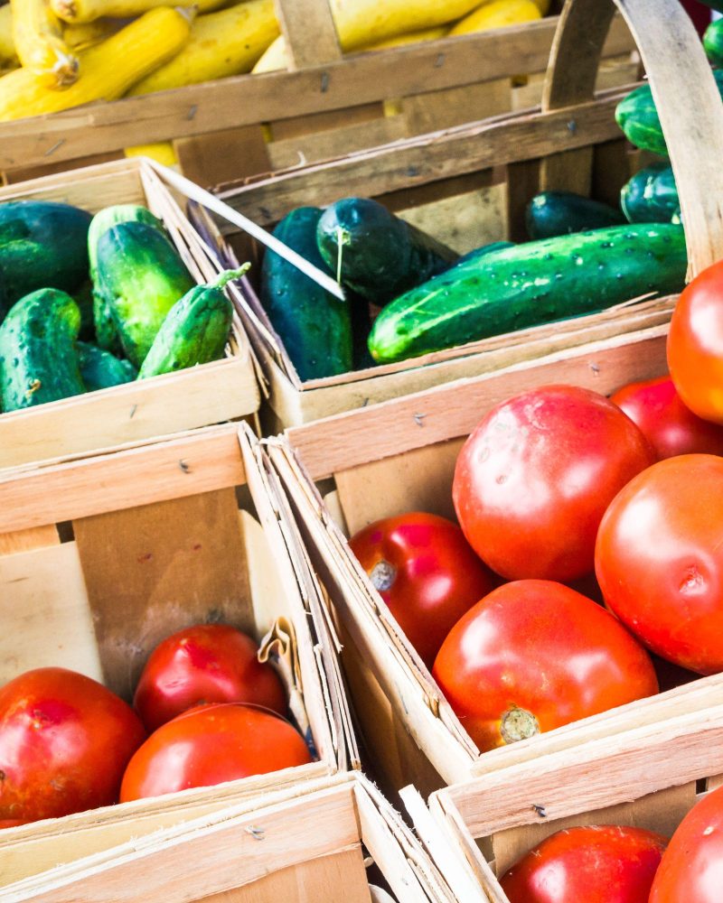Seasonal dishes with the seed library 3000 1