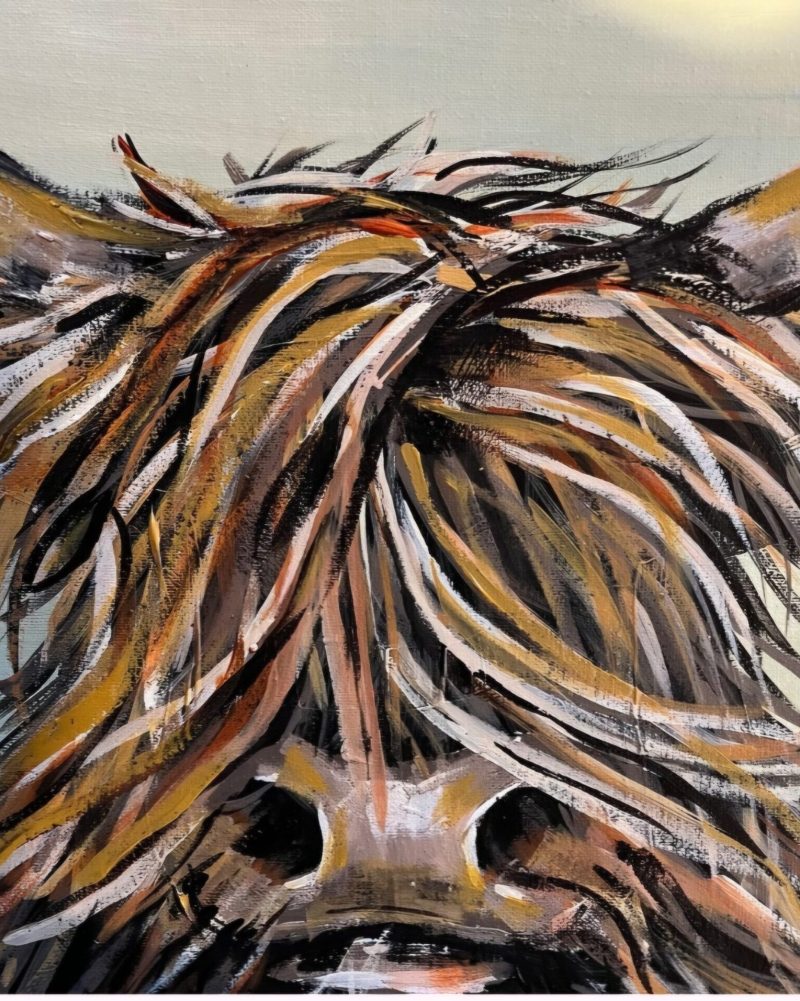 A canvas with a painted hairy highland cow.
