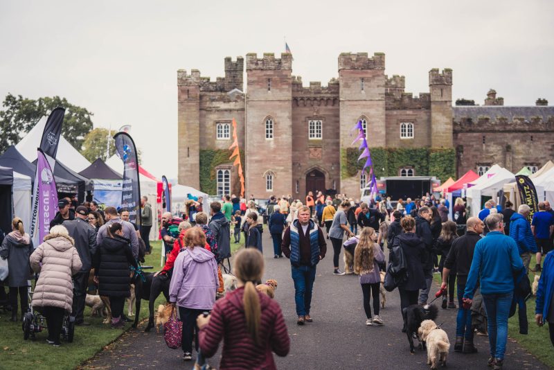 A crowd of people and dogs shopping at different stalls in front of the palace.