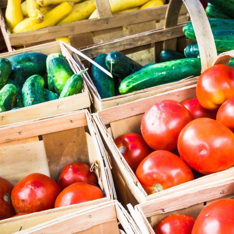 Seasonal dishes with the seed library 3000 1