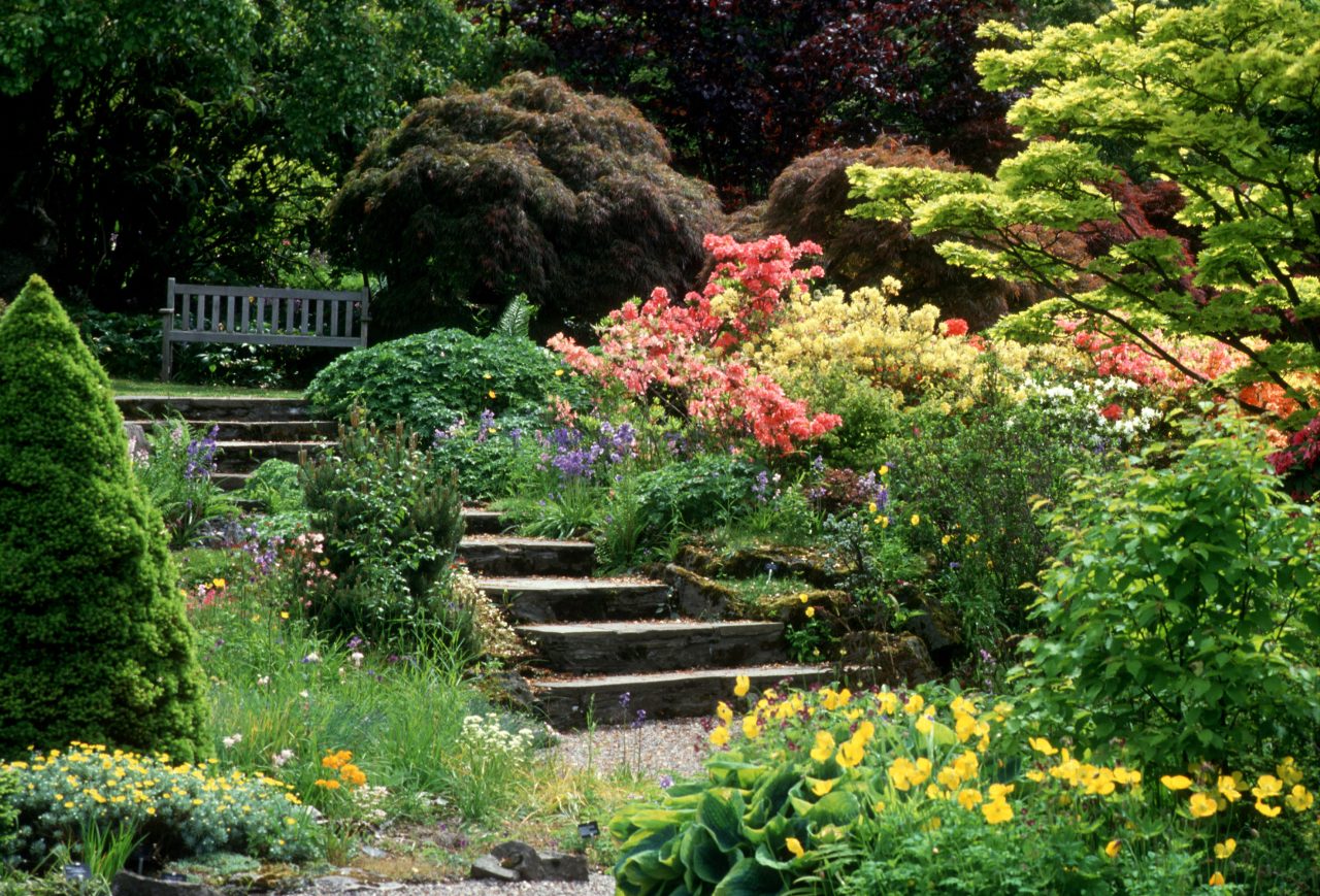 Stone stairs sit among bushes and colourful flowers