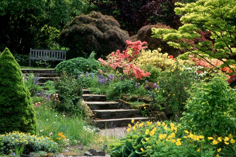 Stone stairs sit among bushes and colourful flowers