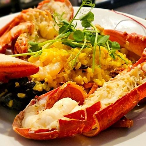 Cooked lobster sitting on a bed of risotto garnished with garden cress