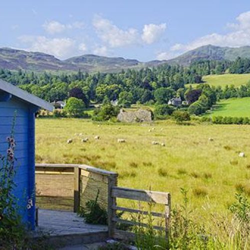 A blue wood cabin with a wood patio sits in a large field of sheep in a mountainous countryside