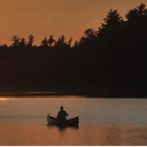 The silhouette of a person sits in a small rowing boat on water next to a dense tree line lit by a sun set