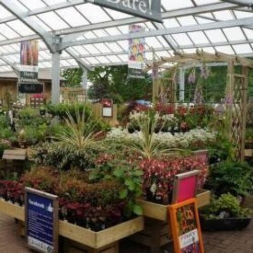 A garden centre with an arching glass roof houses several stands covered in a variety of potted plants and colourful flowers