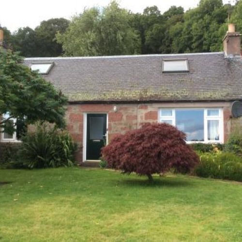 A small, short building made of red and grey windows has a small window and sits at the end of a garden with two small trees
