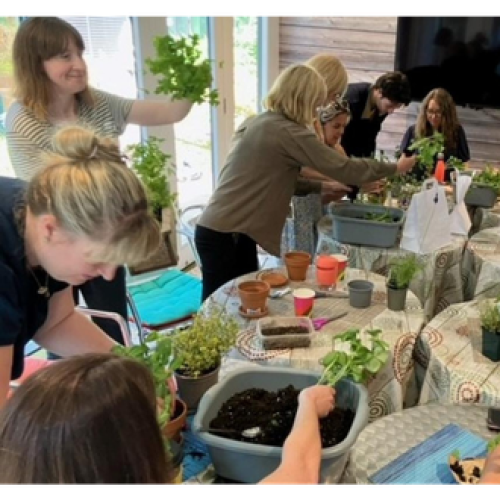 A group of people sitting at a table work together to move small green plants from boxes of dirt into pots