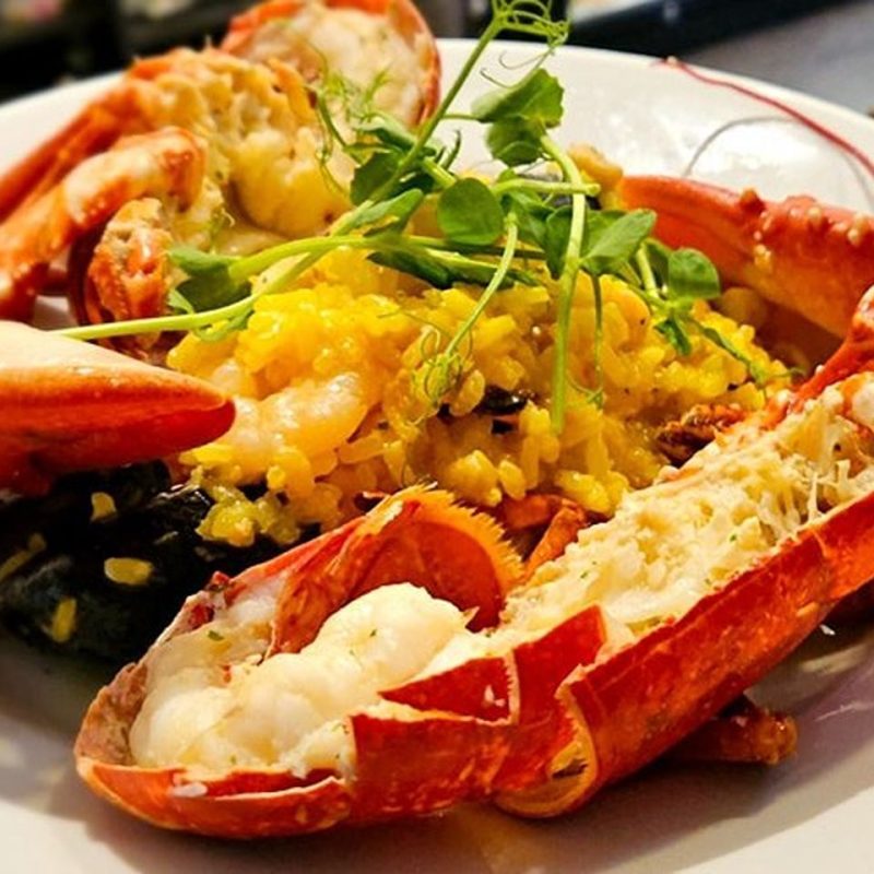 Cooked lobster sitting on a bed of risotto garnished with garden cress