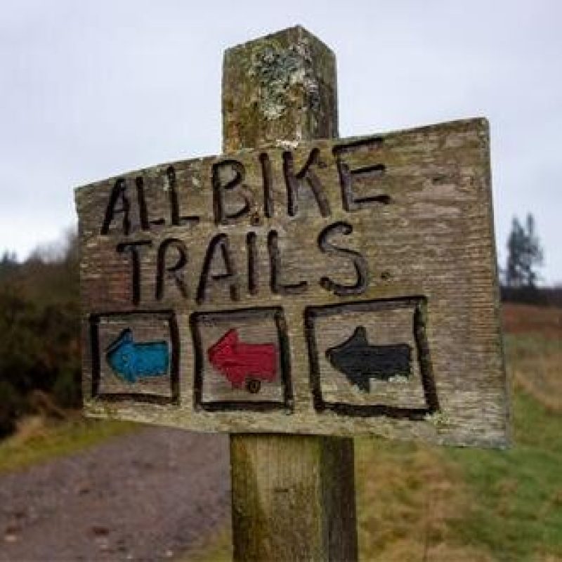 A small aged wooden sign on a country trail reads all bike trails above three different coloured arrows all pointing to the left