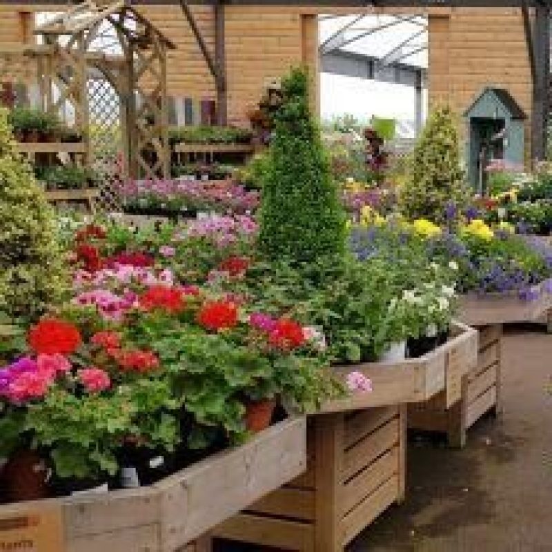 A garden centre with several stands holding potted plants, ferns, and brightly coloured flowers