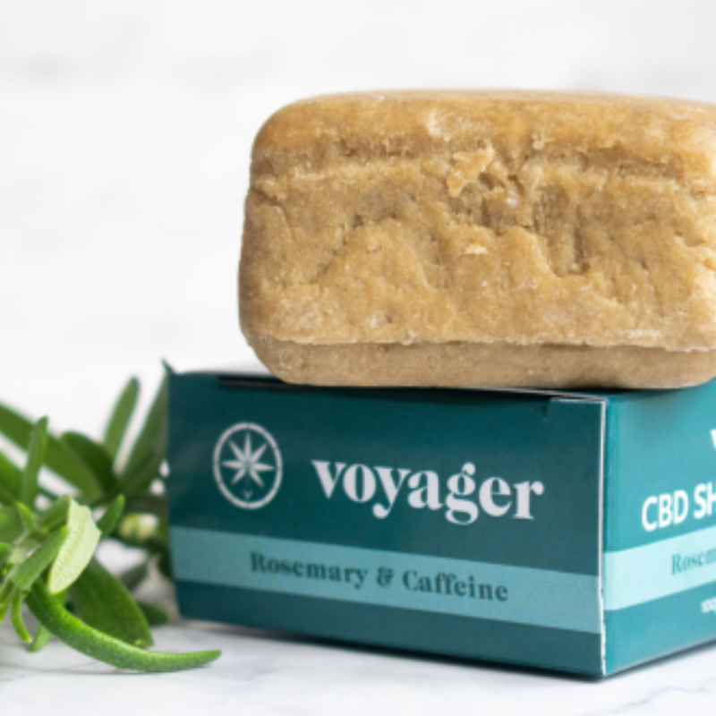A small brown bar of soap sits on top of a blue box next to a stem of green leaves in front of a white background